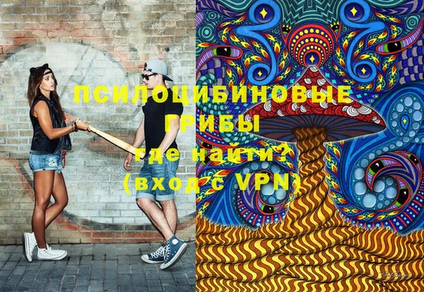 ГАЛЛЮЦИНОГЕННЫЕ ГРИБЫ Бронницы