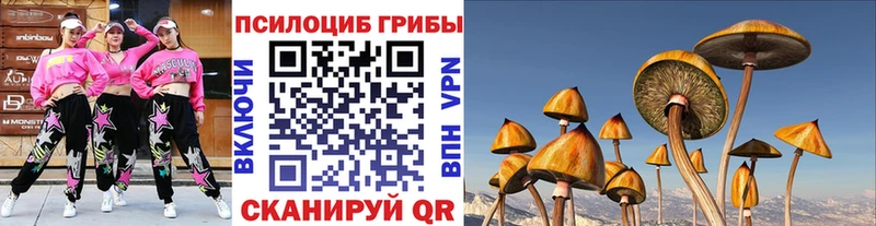 Псилоцибиновые грибы Psilocybine cubensis  купить закладку  Чайковский 